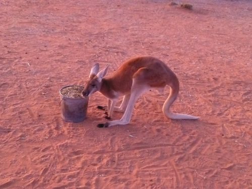 1024