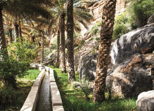 Oasis in the middle of a desert (Oman)